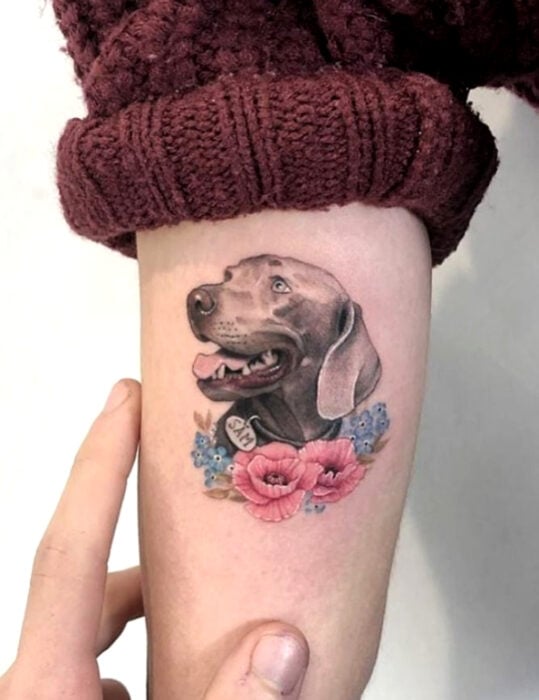 Diseños de tatuajes originales; perro Weimaraner gris de ojos azules con flores rosas, tatuaje de mascota en el brazo