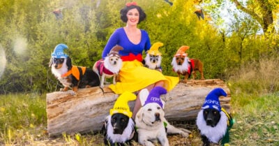 Se viste de Blancanieves para celebrar Halloween con sus 7 perritos