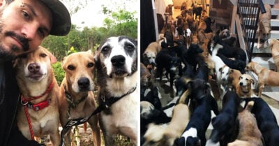 Joven rescatista da refugio a 300 animales durante el huracán Delta