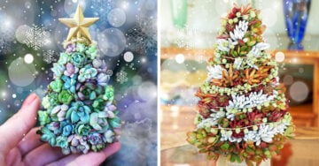 Los árboles de Navidad con suculentas serán tu nueva obsesión de invierno