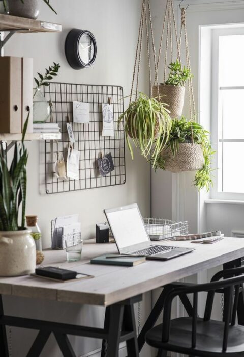 Espacio de trabajo decorado con algunas macetas en este