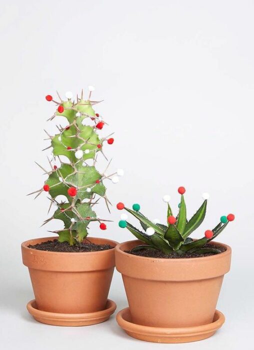 Cactus reales en sus macetas decorados con bolitas de navidad de colores