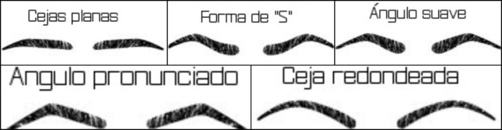 Esquema con tipos de cejas