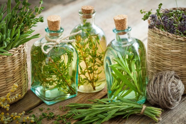 DIY with Rosemary to Prevent Hair Loss and Make it Shiny