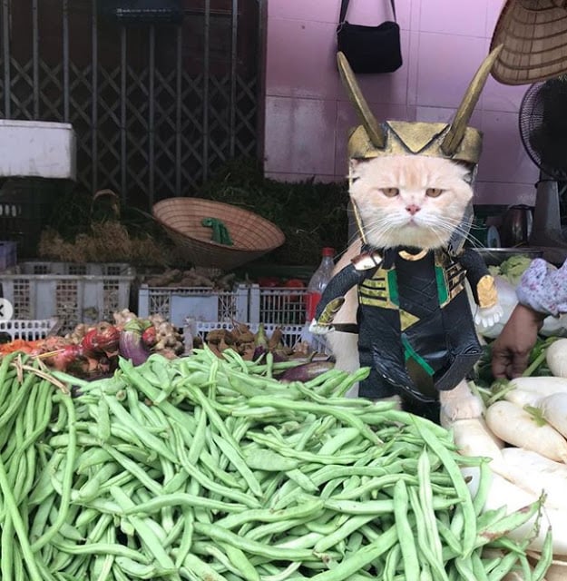 Gatito Chó con disfraz de Loki junto a puesto de verduras en el mercado 