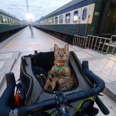 Hombre escocés recorre el mundo con su gato y una bicicleta