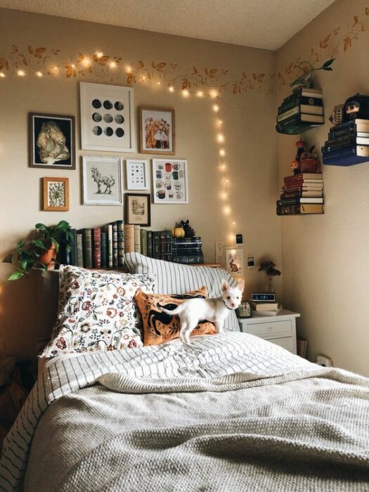 Habitación acogedora con cama blanca y un gato encima de ella. Las paredes son blancas y atrás de la cama hay un mueble para ordenar libros y en la pared cuadros de diferentes tamaños con una serie de luces amarillas 