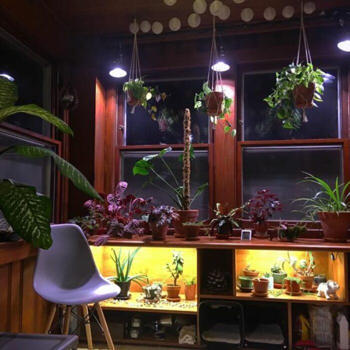 Plantas colgantes en habitación con ventanal grande con un escritorio iluminado en la parte de abajo con una silla blanca