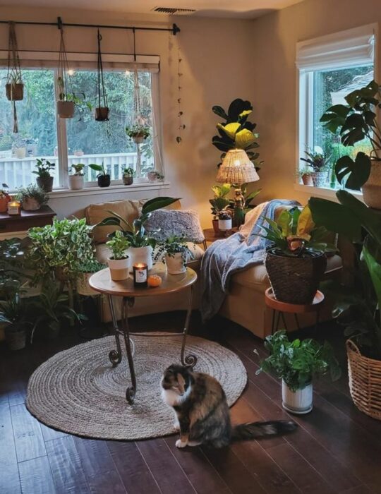 Habitación blanca amplia con una ventana con sillones cafés y una mesita redonda en medio decorado con plantas