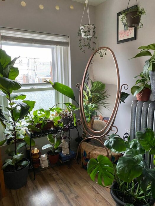 Habitación blanca con ventana grande con cortinas blancas y un espejo de cuerpo completo de forma ovalada y muchas plantas decorativas en el piso