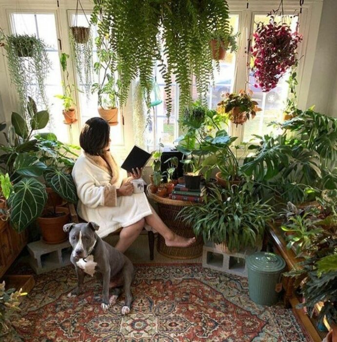 Mujer con vestido blanco leyendo un libro con pasta negra sentada en una habitación llena de plantas