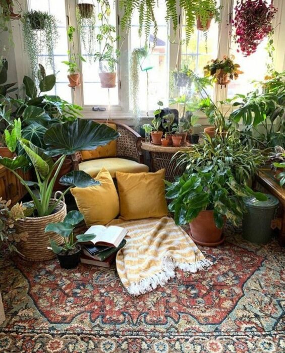 Habitación con alfombra roja con colores y cojines amarillos en una habitación llena de plantas