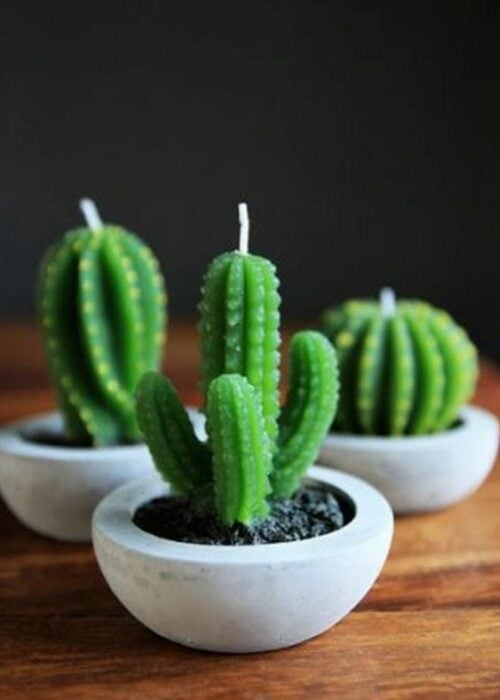 Velas en forma de cactus; Tutoriales para hacer tus propias velas aromáticas