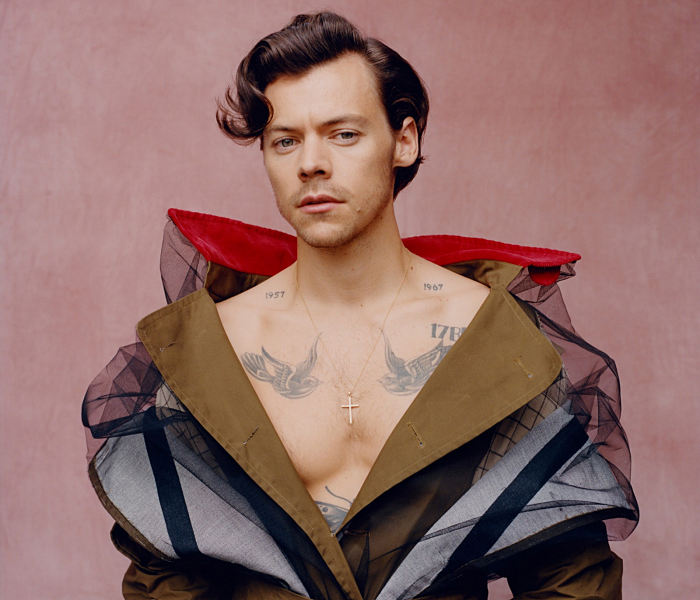 Harry Styles für Mode