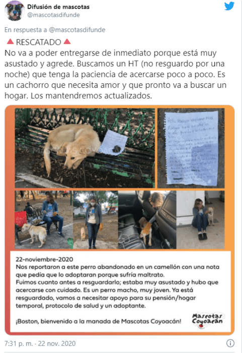 Rescatan a perro abandonado en banca con una nota