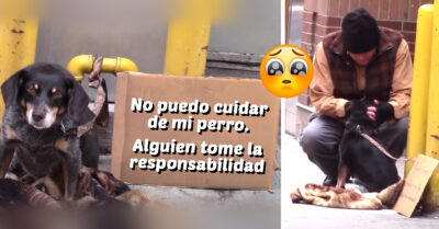 Abandonan a perrito a su suerte; este indigente fue el único que lo rescató
