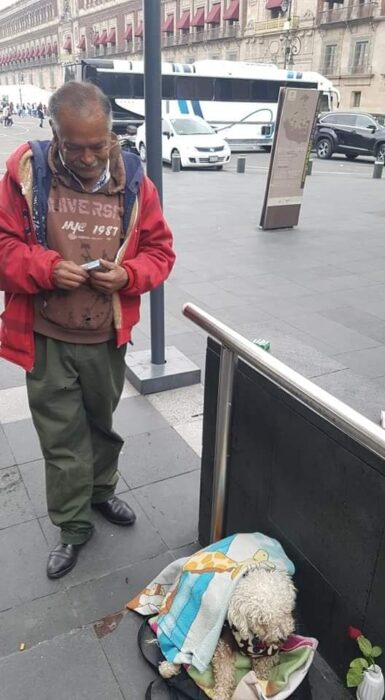 Anciano de chamarra roja y pantalón verde parado en la calle mirando a su perrito blanco acostado en el piso sobre una maleta azul marino