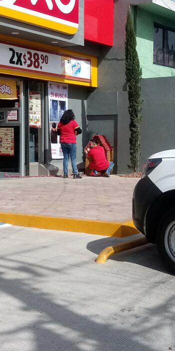 Empleados de OXXO cuidando de un perrito callejero; Empleados de un OXXO adoptan a perrito callejero y lo llaman Migajón