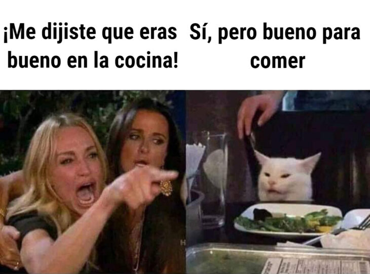 Los memes virales del 2020; mujer gritándole al gato confundido en la mesa; Taylor Armstrong, Kylie Richards de The Real Housewives of Beverly Hills, y el felino blanco Smudge al que no le gustan las verduras