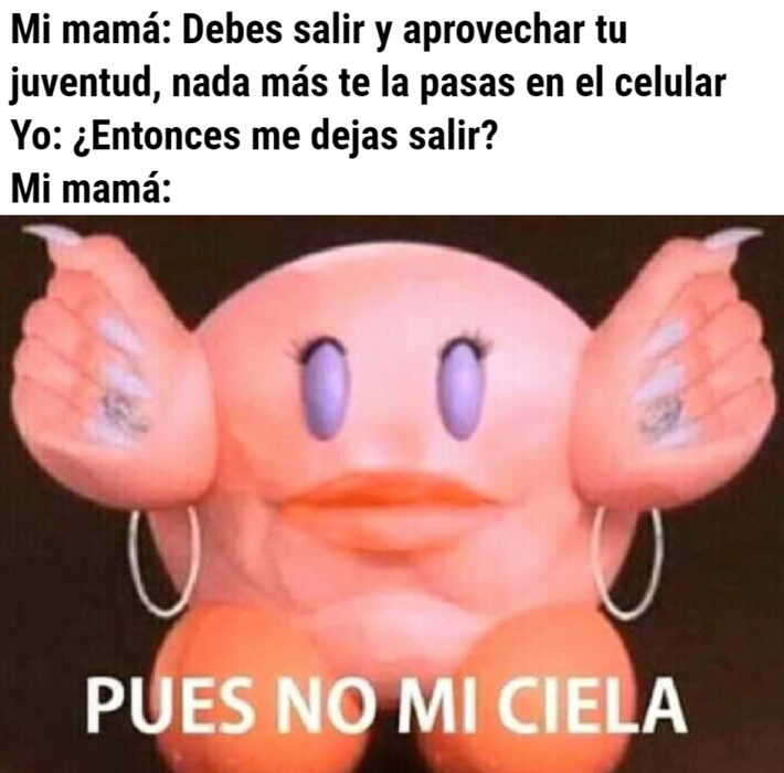 Los memes virales del 2020; Kirby, pues no, mi ciela