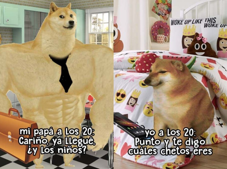 Meme de perro Cheems fuerte y chiquito; mis papás a mi edad vs. yo