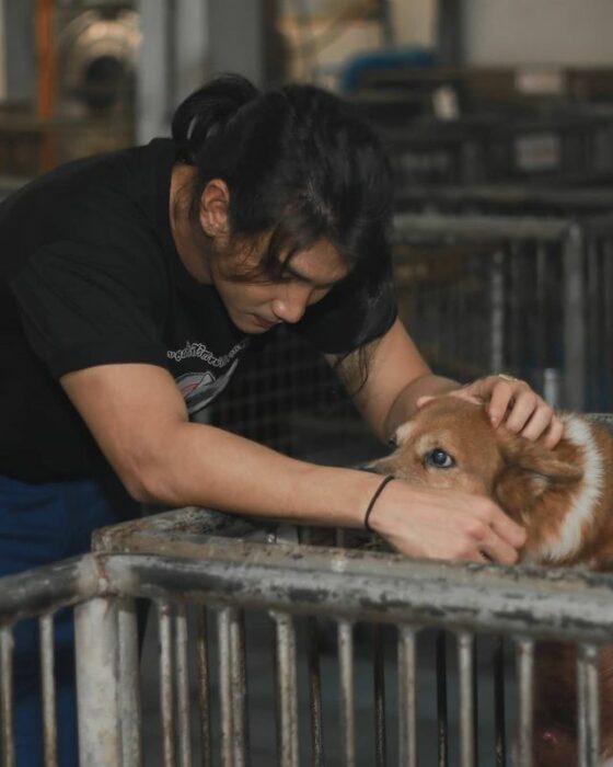 Paing Takhon con playera negra acariciando un perrito café con naranja que está en una jaula