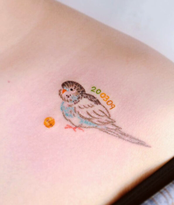 Tatuaje bonito y femenino de ave en la clavícula,pájaro loro de caricatura tierno y kawaii de color azul con café