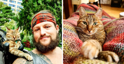 Encuentra a gatita abandonada y la convierte en su compañera de viajes