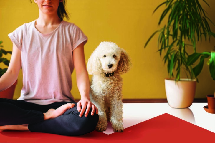 Pared pintada en colores brillantes amarillo anaranjado y blanco con un perro y una mujer haciendo yoga