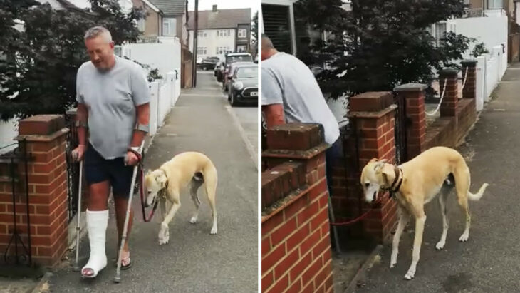 Hombre paseando con su perro cojo; Gasta su dinero en veterinarios para su perro cojo; descubre que lo imitaba