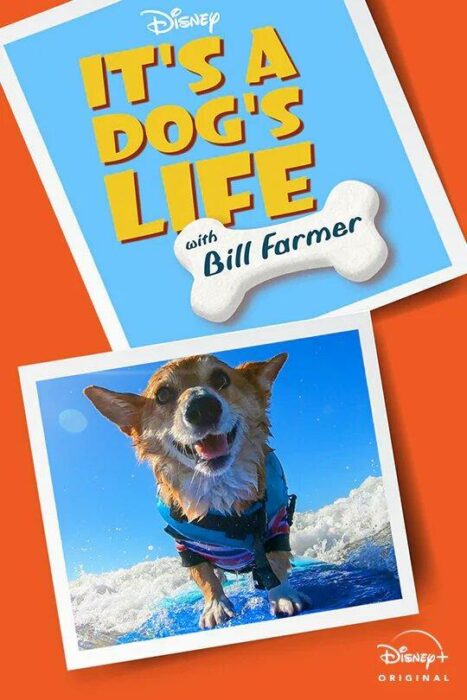 Poster de 'Una Vida de Perros con Bill Farmer'