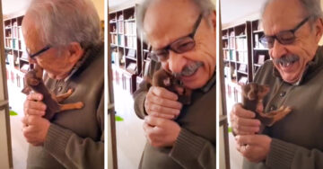 ¡Ternura! Abuelito recibe un cachorro como regalo y su reacción conmueve a todos