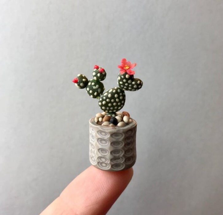 Cactus en miniatura, hecha por Astrid Wilk