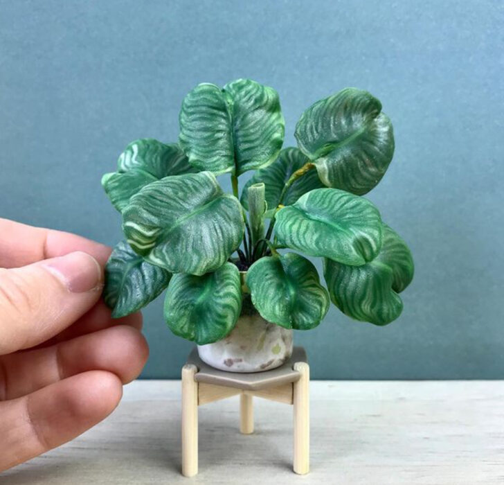 Calathea Orbifolia en miniatura, hecha por Astrid Wilk