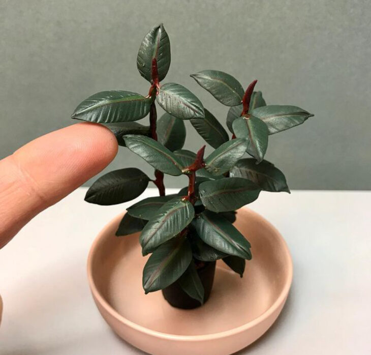 Ficus Elastica en miniatura, hecha por Astrid Wilk