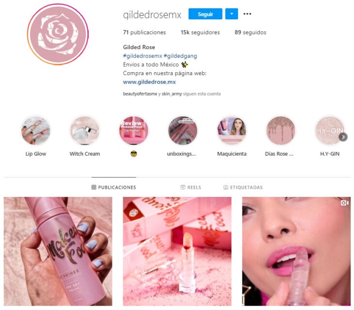 Perfil de Instagram de Gilded Rose, marca mexicana de productos de belleza