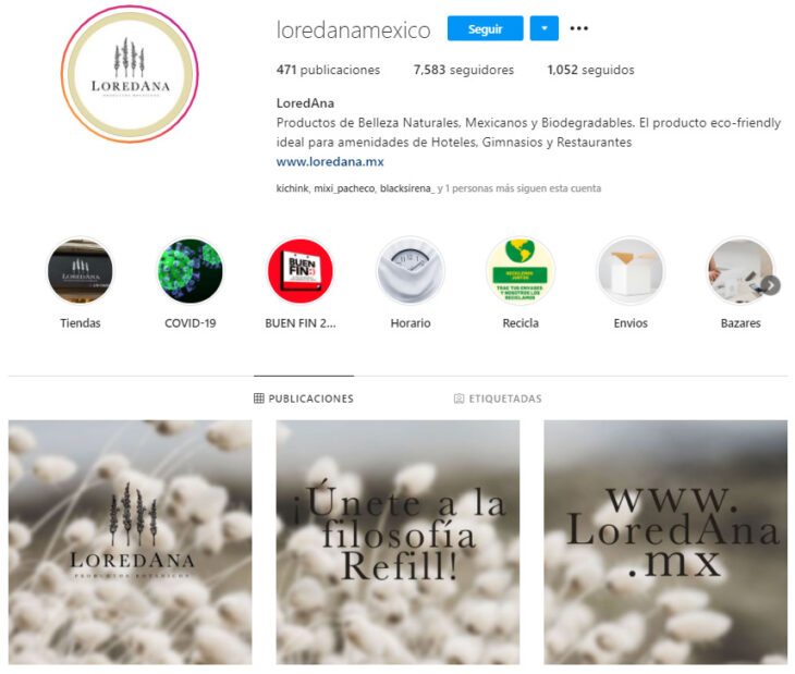 Perfil de Instagram de LoredAna, marca mexicana de productos de belleza, marca mexicana de productos de belleza