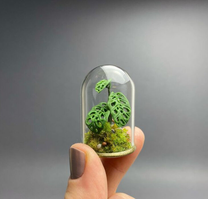 Monstera Obliqua en miniatura, hecha por Astrid Wilk