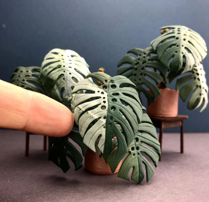 Monstera Variegata en miniatura, hecha por Astrid Wilk