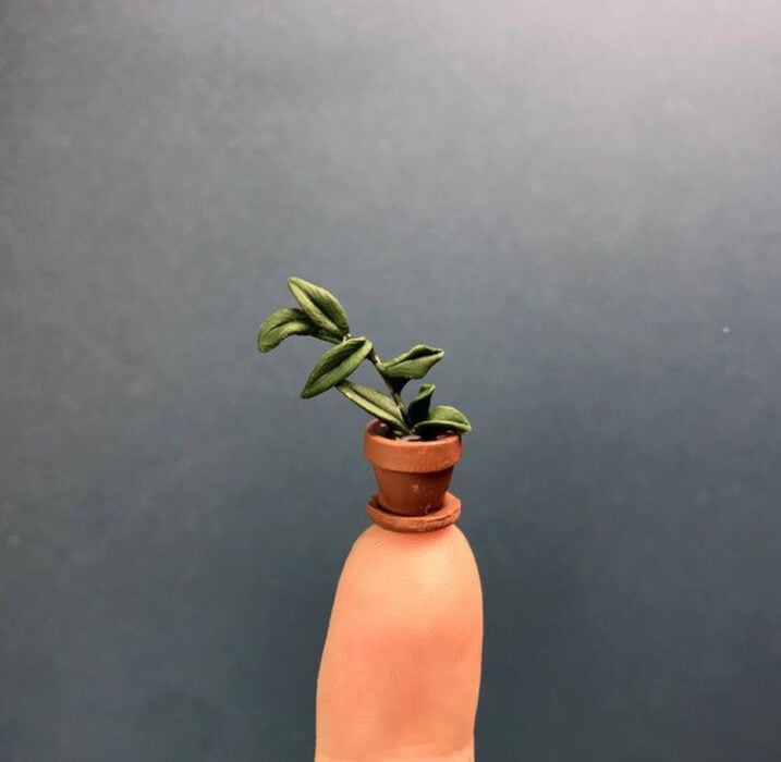 Philodendron en miniatura, hecha por Astrid Wilk