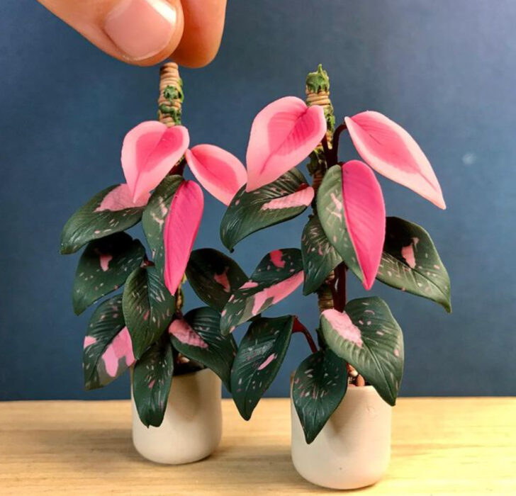 Philodendron en miniatura, hecha por Astrid Wilk