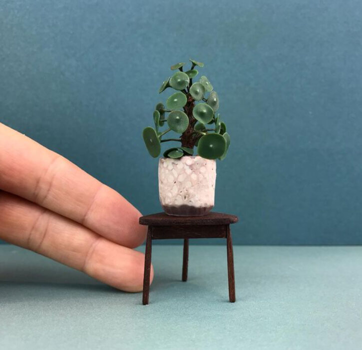 Pilea en miniatura, hecha por Astrid Wilk