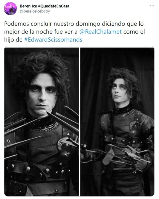 Tuit sobre Timothée Chalamet como el hijo de Edward Scissorhands; joven manos de tijera