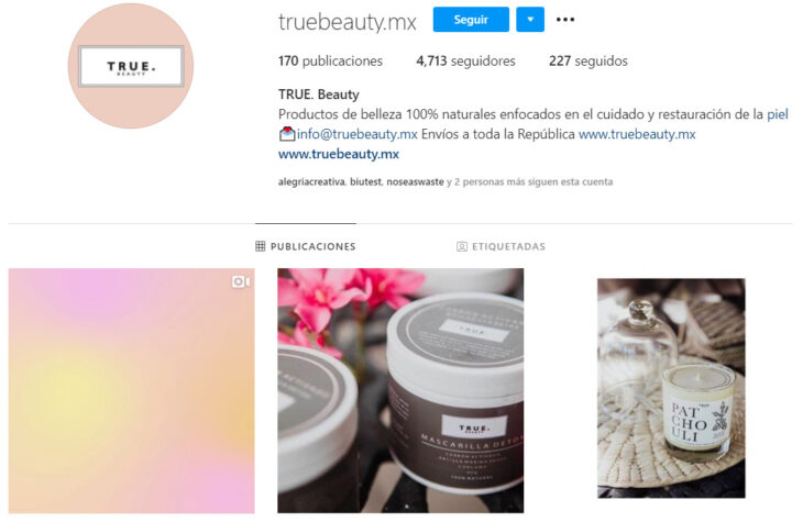 Perfil de Instagram de True. Beauty, marca mexicana de productos de belleza