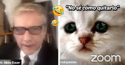 Abogado activa filtro de gatito por accidente en audiencia y nos alegra el día