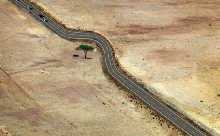 árbol a un costado de una carretera; 12 Pruebas de que la naturaleza puede ser la mejor amiga de la arquitectura