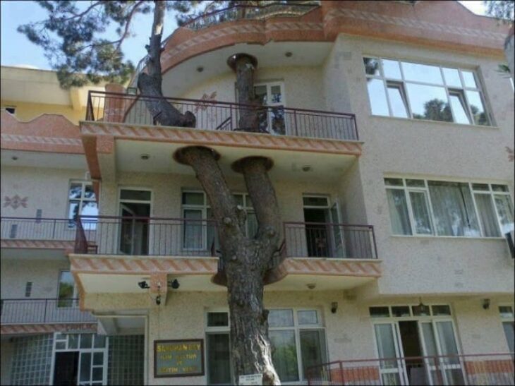 árbol atravesando los balcones de un hotel; 12 Pruebas de que la naturaleza puede ser la mejor amiga de la arquitectura