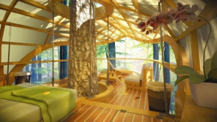 Árbol dentro de un departamento;  12 Pruebas de que la naturaleza puede ser la mejor amiga de la arquitectura