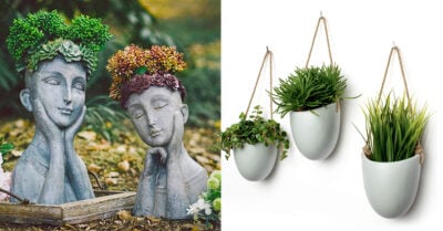 15 Macetas que toda señora de las plantas deseará tener