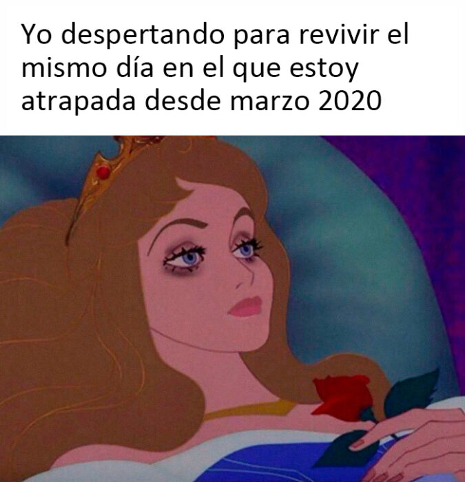 Meme haciendo alusión al primer año de la pandemia